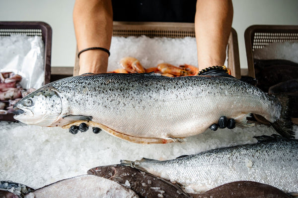 Fresh fish being presented at the market